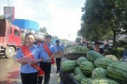 西宁吃瓜最新事件爆料新闻,揭秘最新爆料背后的真相与争议