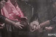 酷刑视频在线观看,在线观看视频背后的真相与警示