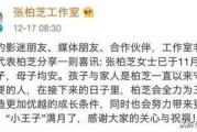 娱记的好爸爸爆料视频,育儿日常温馨瞬间