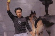 娱乐圈爆料流浪狗的小说,流浪狗的逆袭传奇
