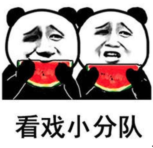 吃瓜表情包的意思